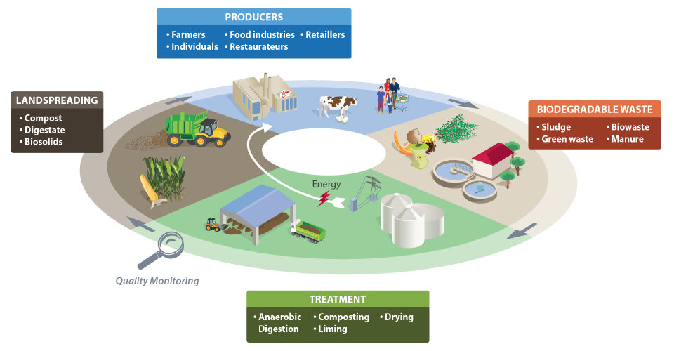 Biosolids cycle